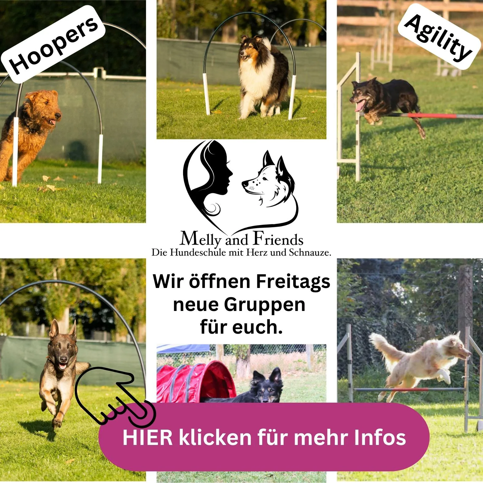 Hoopers und agility in augsburg